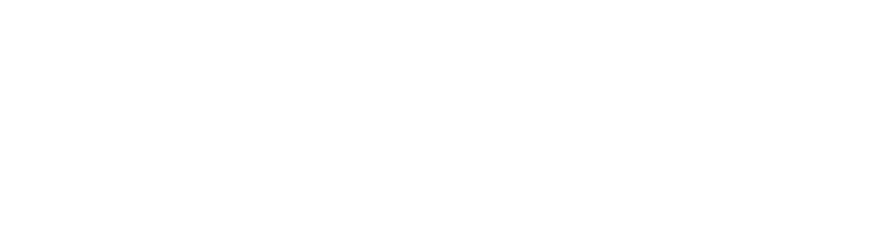 Sentinel Consult